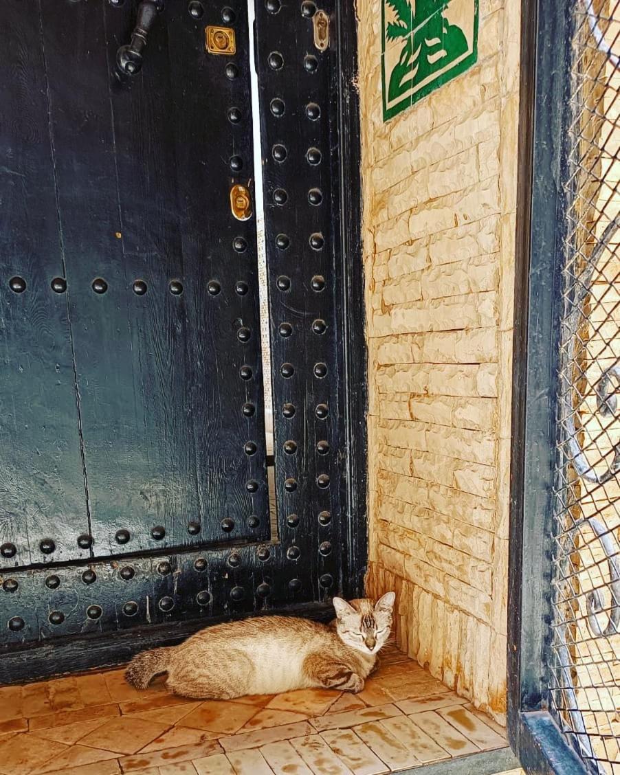 Riad Hugo Марракеш Экстерьер фото
